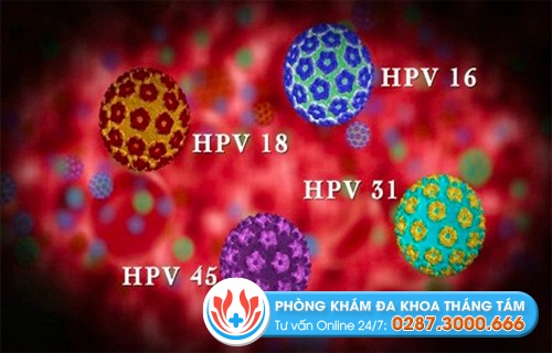 Các chủng HPV phổ biến ở nam giới